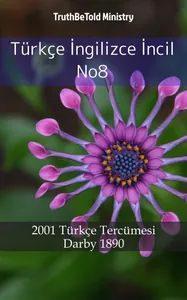 Türkçe İngilizce İncil No8