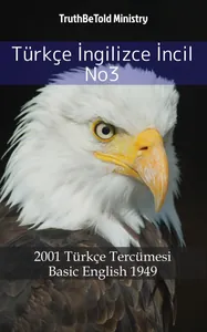 Türkçe İngilizce İncil No3