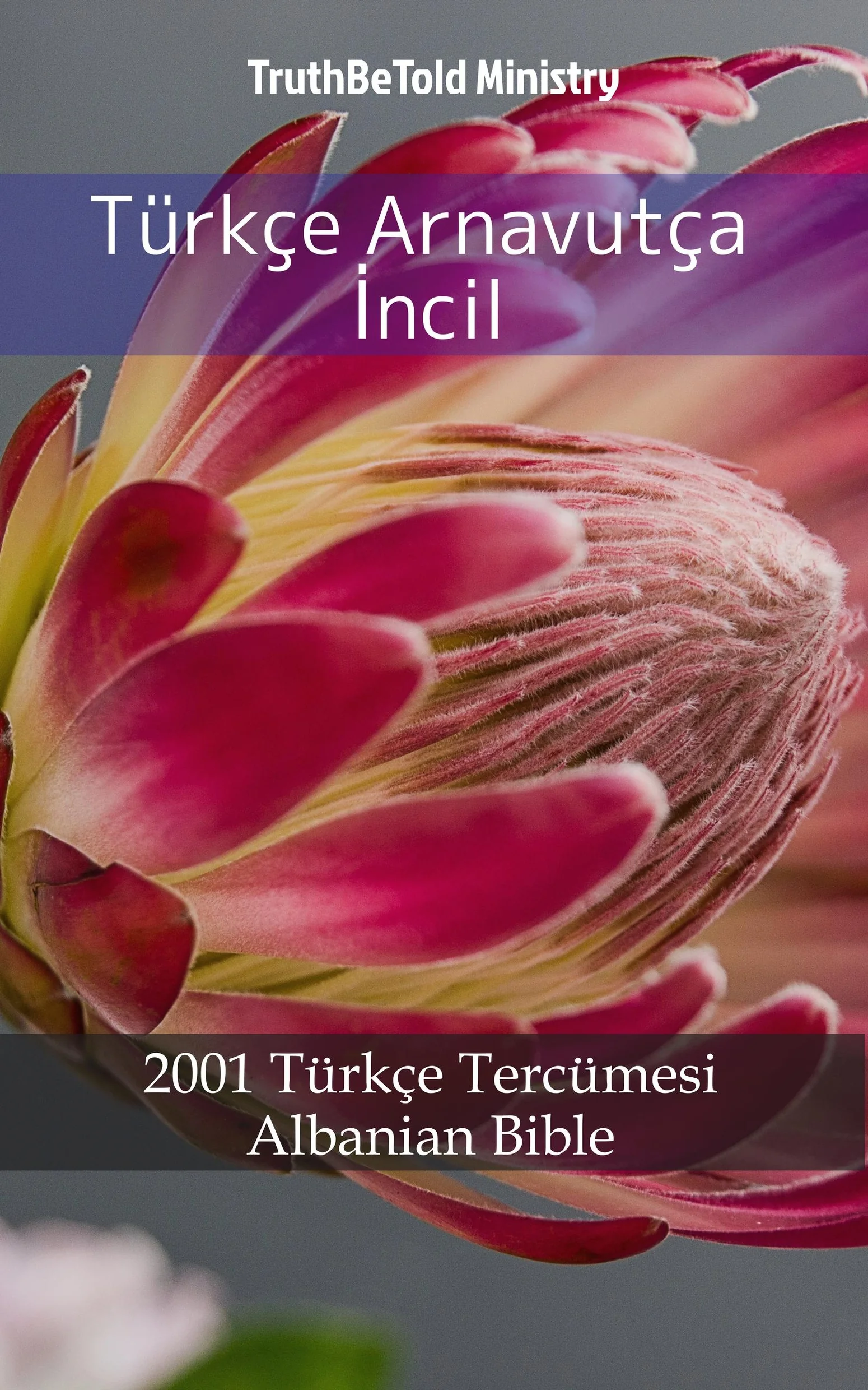 Türkçe Arnavutça İncil