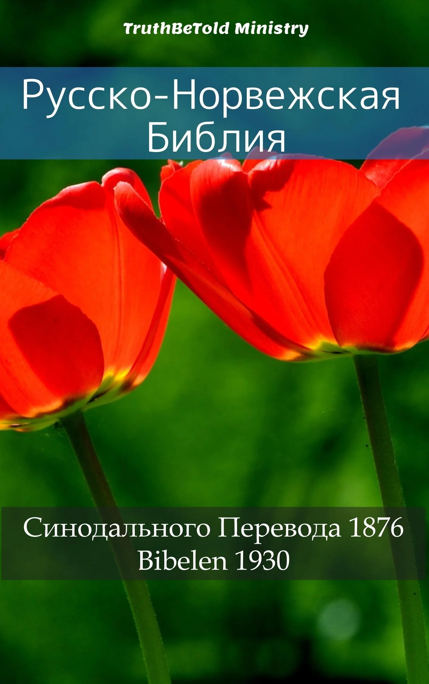 Русско-Норвежская Библия
