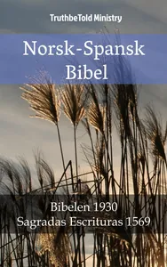 Norsk-Spansk Bibel