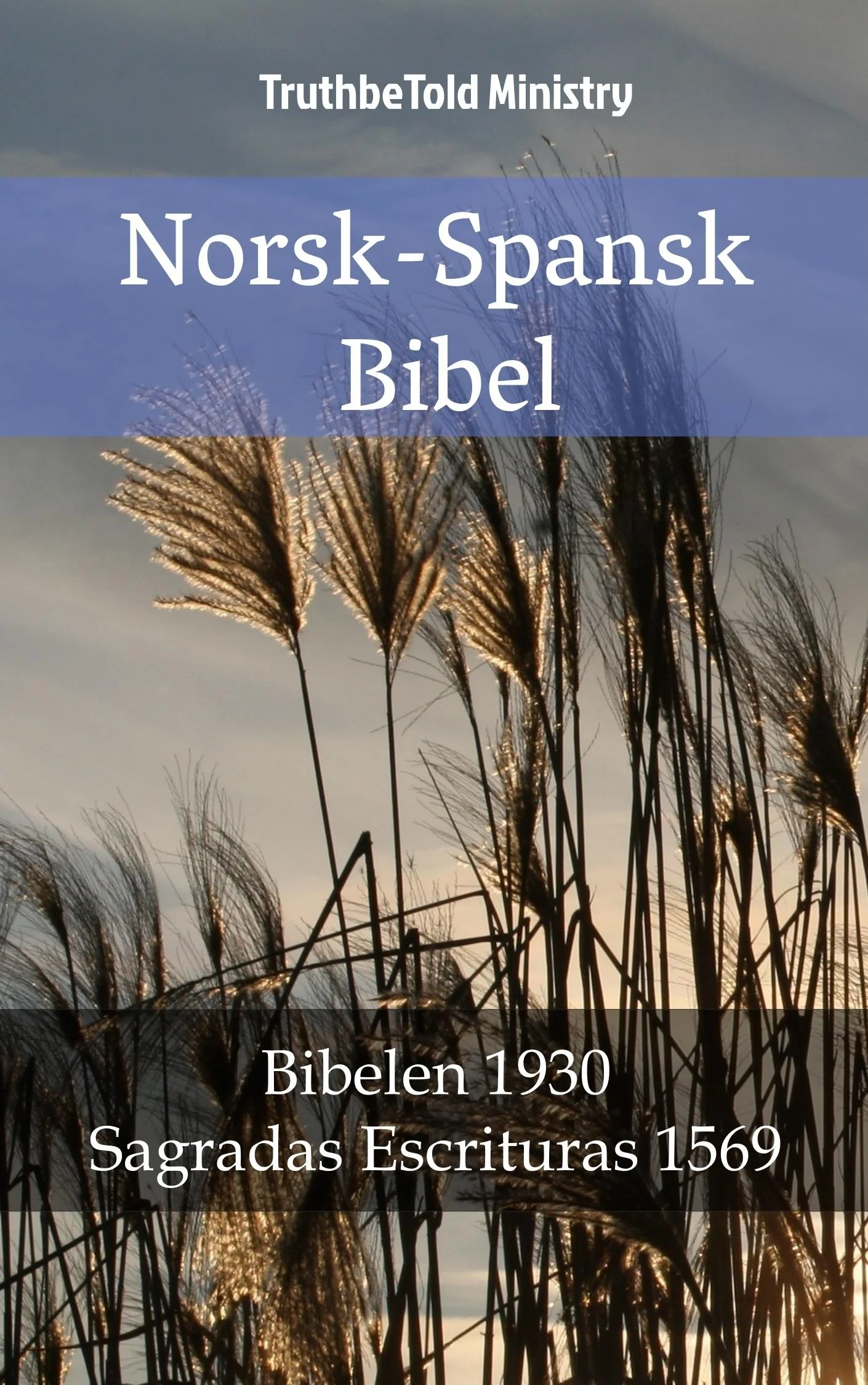 Norsk-Spansk Bibel