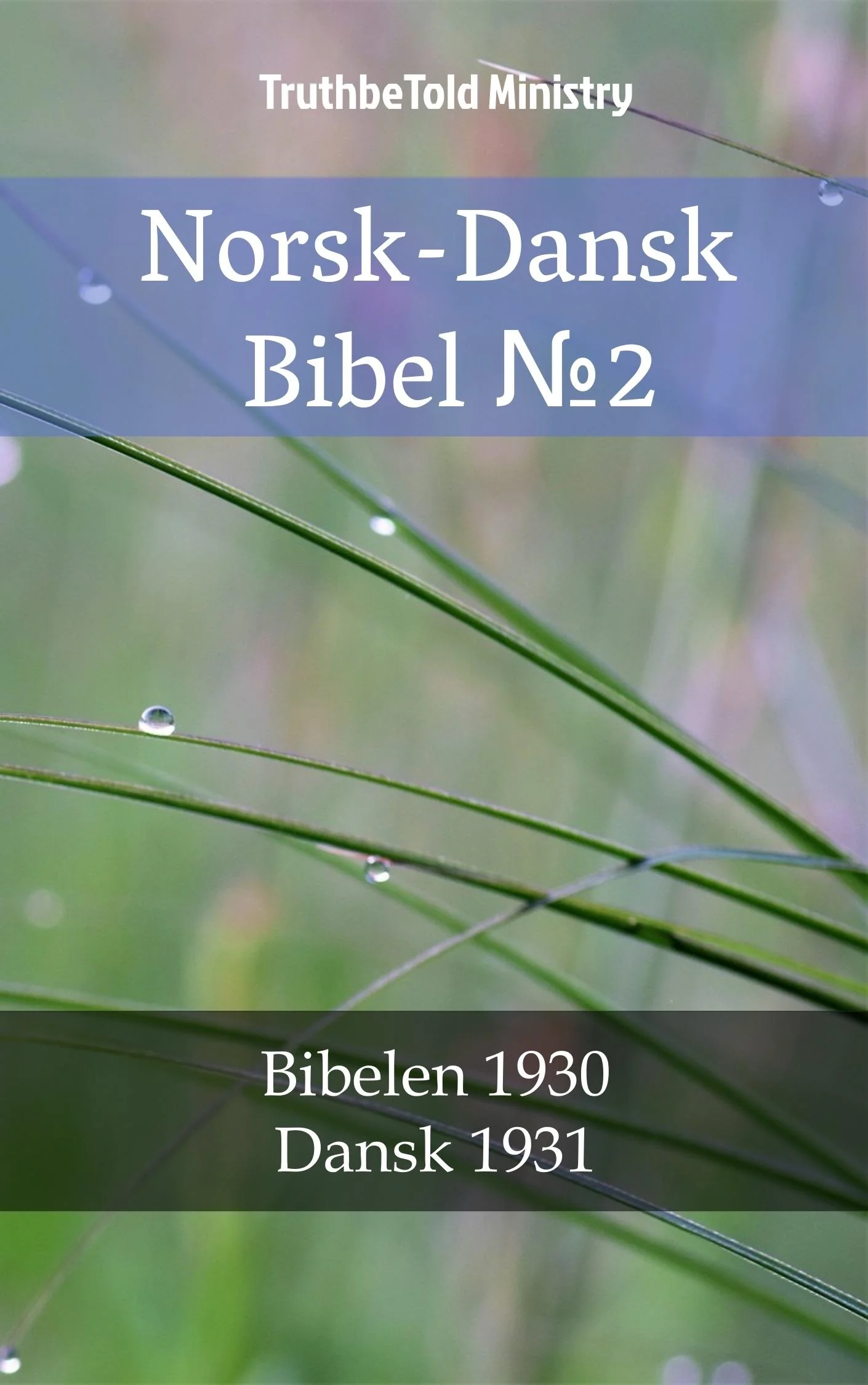 Norsk-Dansk Bibel №2