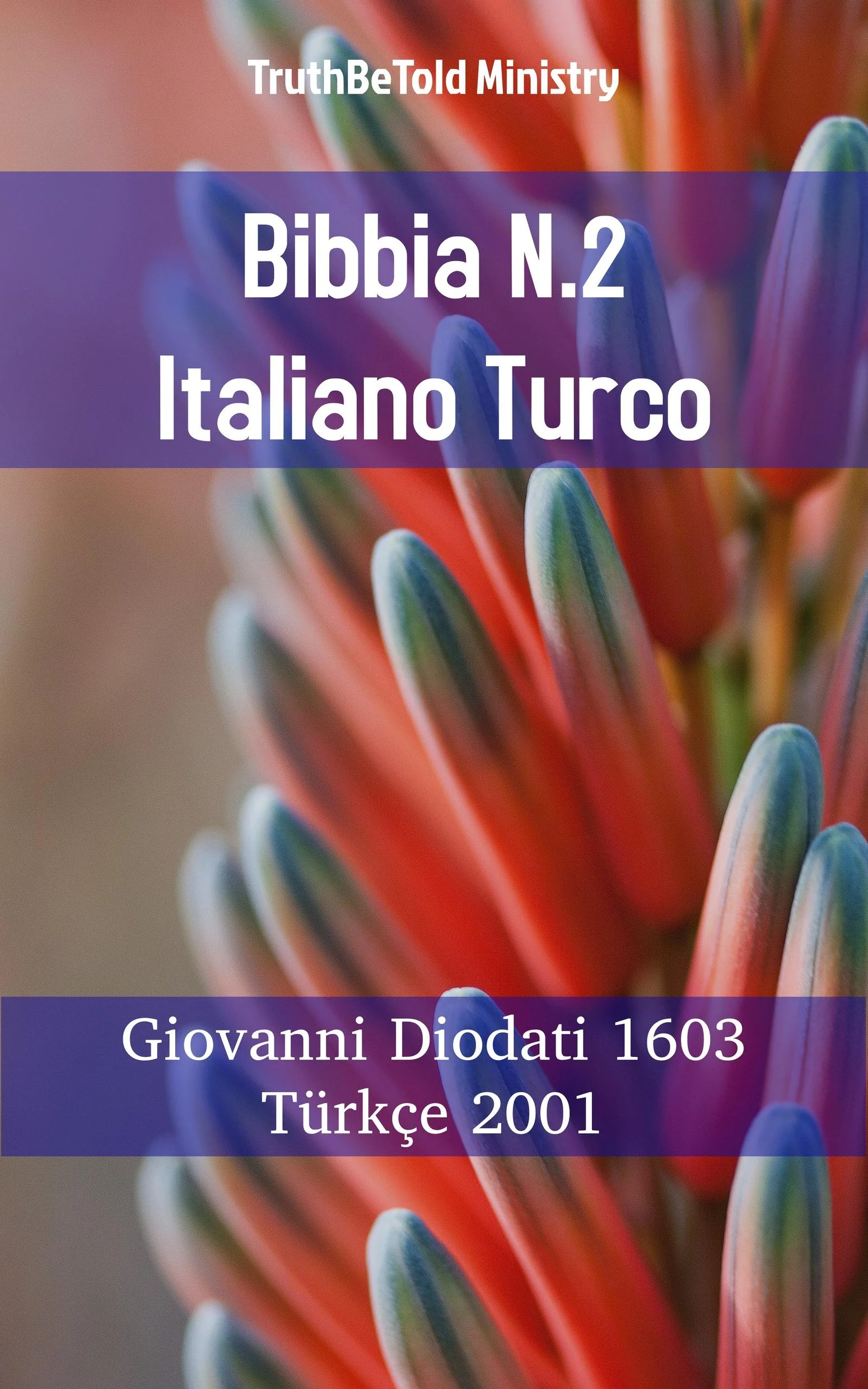 Bibbia N.2 Italiano Turco