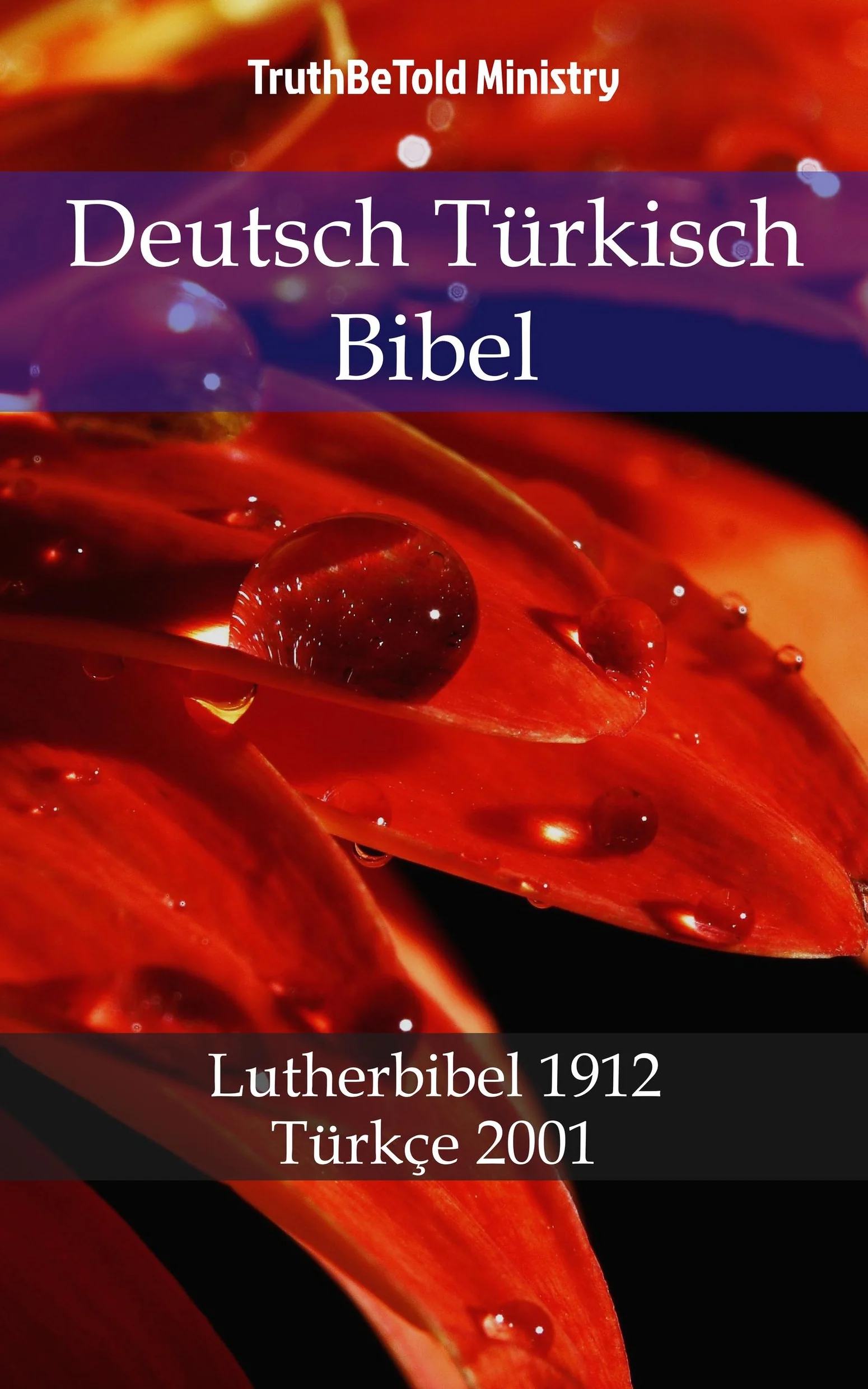 Deutsch Türkisch Bibel