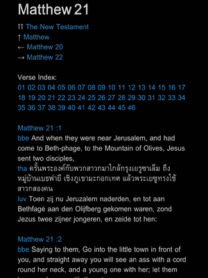 样张页