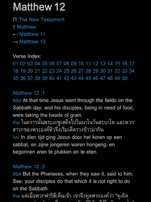 样张页