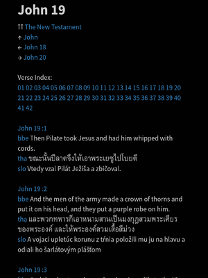 샘플 페이지