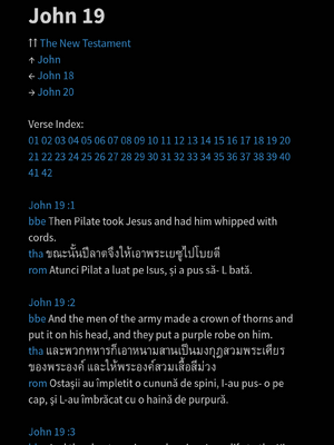 샘플 페이지