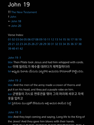 샘플 페이지