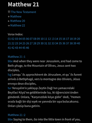 샘플 페이지