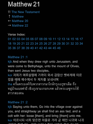 샘플 페이지
