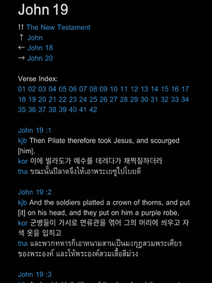 샘플 페이지