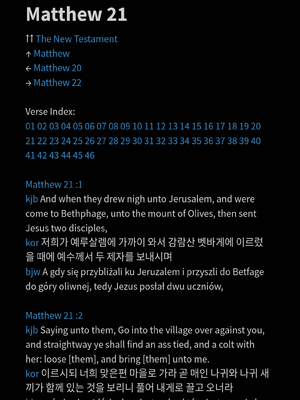 샘플 페이지