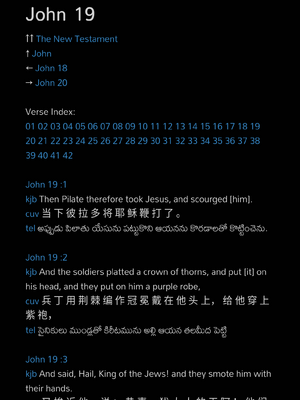 샘플 페이지