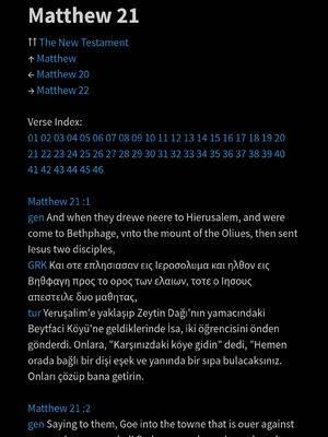 샘플 페이지