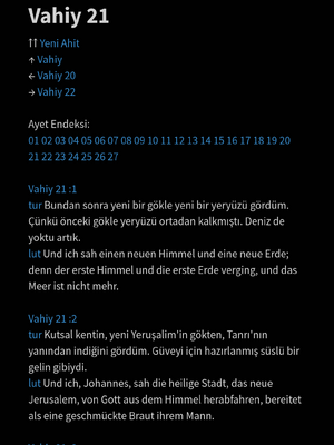 样张页