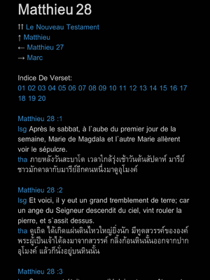 샘플 페이지